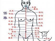 任脉灸的功效,任脉灸的功效与作用及禁忌